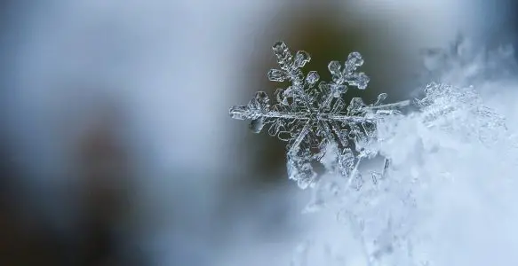 Photographier un flocon de neige dans les moindres détails
