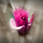 comment obtenir un effet zoom en photo